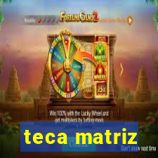 teca matriz